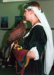 Les Aigles de Provins