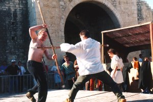 combat homrique